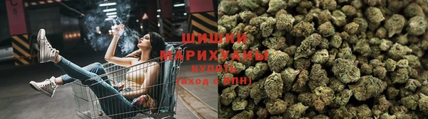 гашик Баксан